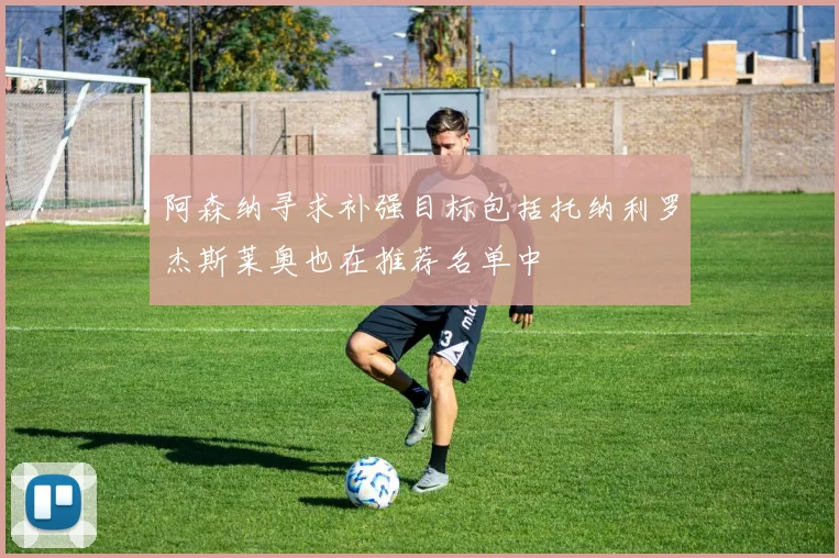 阿森纳寻求补强目标包括托纳利罗杰斯莱奥也在推荐名单中